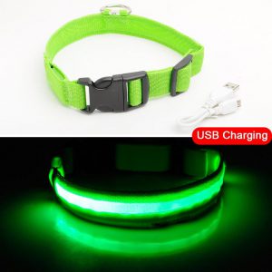 USB Charging Led Dog Collar