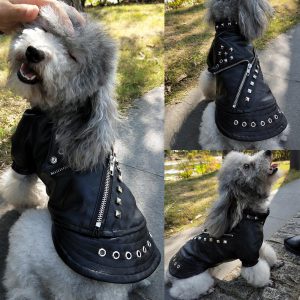 Dog Waterproof Leather Jackets for Small Dogs