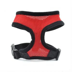 Breathable Small Dog Pet Harness and Leash Set