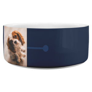 Customized Dog Bowl
